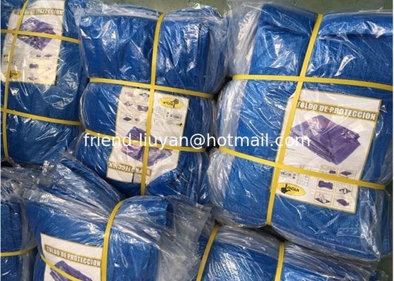 Logo Printed Heavy Duty First Aid Tarpaulin Truck Cover Pool Shading Camping Fabric