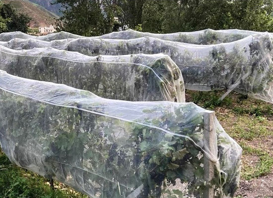 HDPE Anti-Insect Netting สําหรับโรงเรือนกระจกและการป้องกันพืช